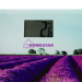Напольные весы HomeStar HS-6001G