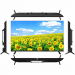 Телевизор AIWA WS-438G SMART TV UHD WebOS 1.5+8 Gb MR20 ThinQ/