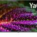Телевизор BBK 43LED-8260/UTS2C SMART TV