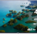 Телевизор HAIER 43 Smart TV S2