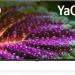 LED телевизор BBK 40LEX-9201/FTS2C черный, 40", Full HD, Яндекс ТВ