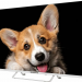 Телевизор TOPDEVICE TDTV43CS03U UHD SMART TV белый