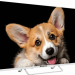 Телевизор TOPDEVICE TDTV43CS03U UHD SMART TV белый