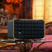 Портативная акустика JBL Authentics 200
