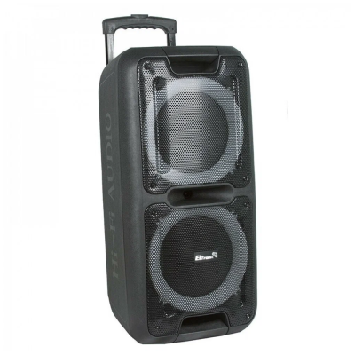 Колонка Eltronic 20-05 DANCE BOX 500