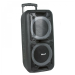 Колонка Eltronic 20-05 DANCE BOX 500