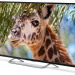 Телевизор Polar 50PU11TC-SM