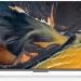 Телевизор Xiaomi Mi LED TV Q2 65 (L65M7-Q2RU)