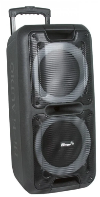Колонка Eltronic 20-14 Dance Box 300, 80 Вт, черный