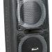 Колонка Eltronic 20-14 Dance Box 300, 80 Вт, черный