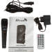 Портативная колонка Eltronic 20-19 DANCE BOX 300