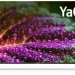 75" CENTEK CT-8575, 4K Ultra HD, черный, смарт ТВ