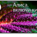55" Телевизор BBK 55LEX-8280/UTS2C