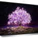 55" Телевизор LG OLED55C1RLA OLED, HDR (2021) RU, ванильный белый