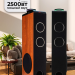 Акустические колонки ELTRONIC (30-49 бук) HOME SOUND - колонки 10" , бук