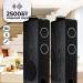 Акустические колонки ELTRONIC (30-49 черный) HOME SOUND - колонки 10 ", черный