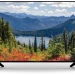 Телевизор THOMSON T43USM7030