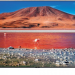 43" Телевизор Samsung UE43TU7002U LED, HDR (2020), черный