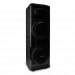 Мидисистема ELTRONIC (30-74) SKILLETS BOX 2500 - колонка 12"