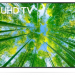 75" Телевизор LG 75UQ80006LB 2022 HDR, LED, металлический серый