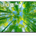 50" Телевизор LG 50UQ80001LA HDR, LED, черный