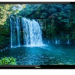 Телевизор LED32" Sharp 2T-C32BD1X