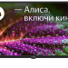 Телевизор SkyLine 32YST6575, SMART (Яндекс ТВ), черный
