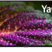 Телевизор HARPER 40F751TS