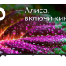 Телевизор STARWIND 32" SW-LED32SG300