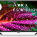 32" Телевизор STARWIND SW-LED32SG304