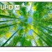60" Телевизор LG 60UQ80006LB HDR, LED, черный