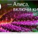 32" Телевизор STARWIND SW-LED32SG311