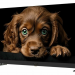 Телевизор TOPDEVICE TDTV55DQ08U UHD SMART TV