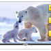55" Телевизор Polarline 55PU52TC-SM LED, HDR (2019), черный