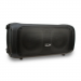Портативная колонка Eltronic 20-34 DANCE BOX 300