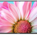 55" Телевизор SkyLine 55U7510 2020 LED, черный