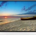 LCD(ЖК) телевизор GOLDSTAR LT-43F800