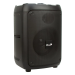 Колонка Eltronic 20-40 CRAZY BOX 120