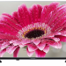 32" Телевизор HARPER 32R720TS 2020 LED, черный
