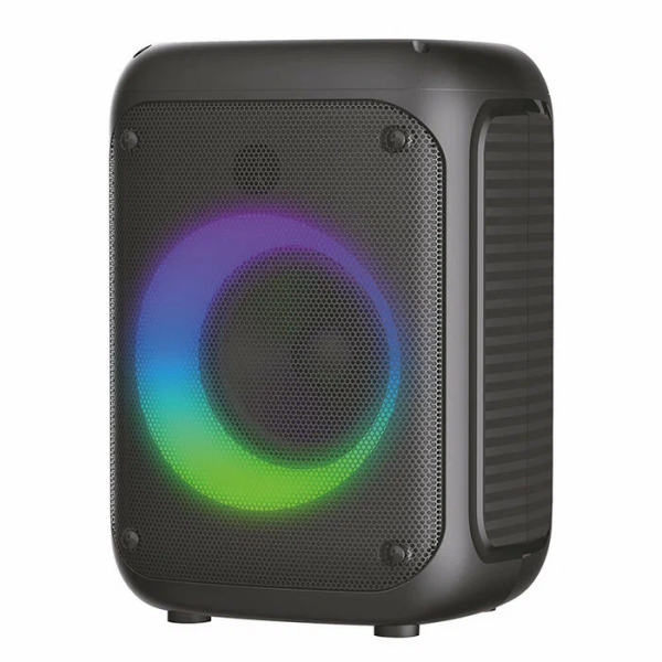 Колонка Eltronic 20-43 CRAZY BOX 100