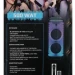Музыкальный центр Eltronic 20-55 WAVE 500