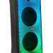 Портативная колонка Eltronic 20-55 WAVE 800