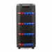Колонка Eltronic 08 (20-70 DANCE BOX 800)