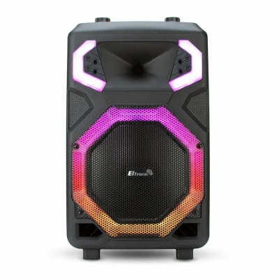 Колонка ELTRONIC (30-40) CRAZY BOX 800 - колонка 12