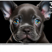 Телевизор TOPDEVICE TDTV32CS08F_WE SMART