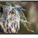Телевизор LED32" VEKTA LD-32SR4113BT