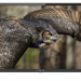 Телевизор LED32" VEKTA LD-32SR4113BT