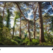 32" Телевизор Thomson T32RTL6030 LED, черный 