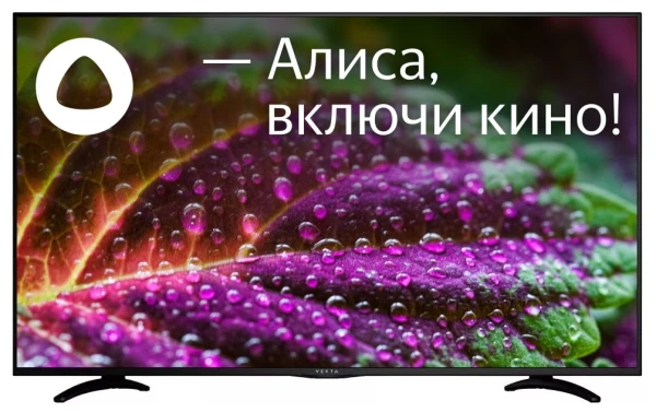 Телевизор VEKTA LD-55SU8815BS