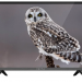 39" Телевизор VEKTA LD-39TR4315BT 2021 LED, HDR, черный